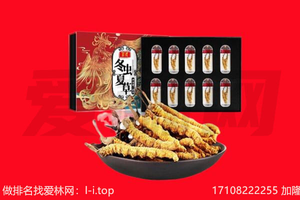 芦溪县回收虫草.jpg